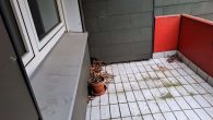 Schöne Wohnung auf der Coburger Str. 14, Gelsenkirchen, 2. OG links - 20260402_101158